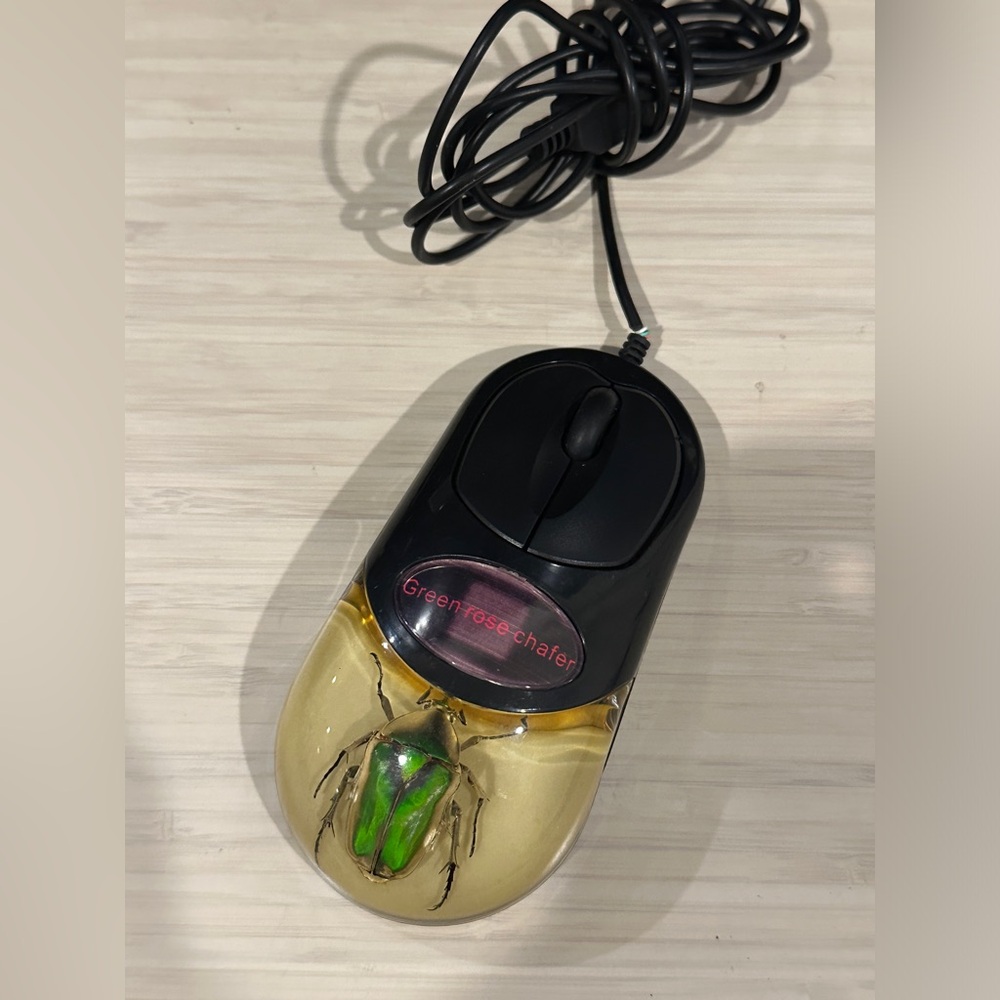 Wire Mouse With Real Beetle Inside, Lights Up With Different Colors 46inch Wire